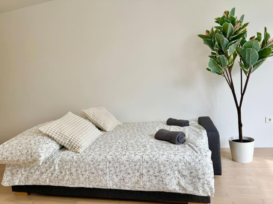 Apartment Cosy With Free Parking
