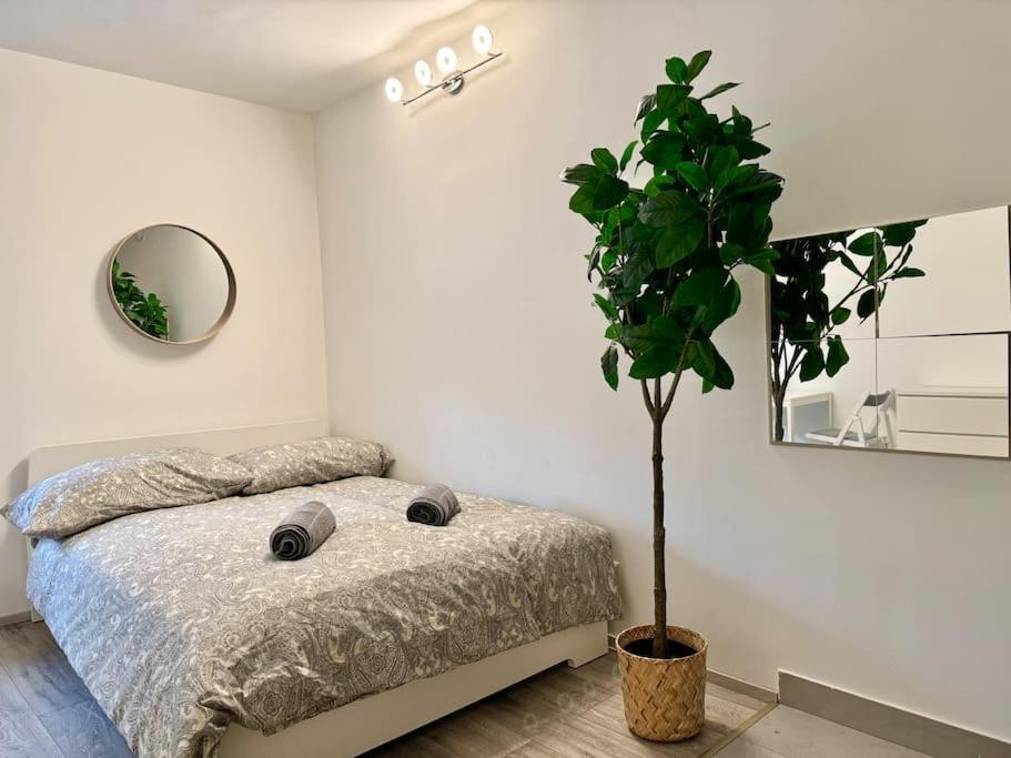 Apartment Cosy With Free Parking